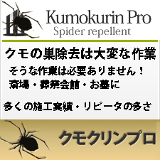 クモクリンプロ　クモの巣除去・忌避剤